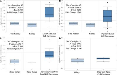 Effect of MAP3K8 on Prognosis and Tumor-Related Inflammation in Renal Clear Cell Carcinoma